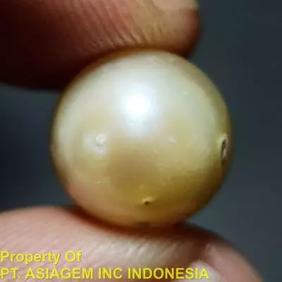 $4.99 • Buy 2.6G 14.8mm South Sea Saltwater Lombok Pearl Baroque Grade A ~undrilled~