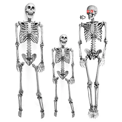 3ft/5.6ft Halloween Skull Skeleton Human Full Life Size Bone LED Eye Party Decor • $64.99