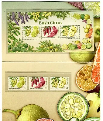 2019 Bush Citrus Post Office Pack With Stamps & Mini Sheet • $9