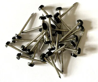 £3.39 • Buy 50 X 30mm Black UPVC Plastic Headed Pins Nails Poly Top A4 Stainless Steel