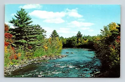 Greetings Millerton New York Scenic River Landscape Forest Chrome Postcard • $7.75