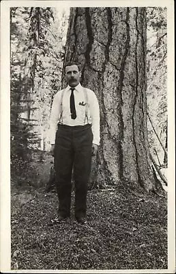 RPPC Edwardian Man Mustache Suspenders Redwood? Tree 1904-20s Real Photo PC • $8.09