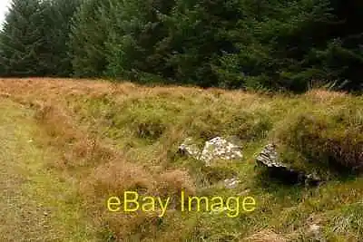 £2 • Buy Photo 6x4 Forest Road Margin Treherbert Some Outcrops Of The Underlying R C2008