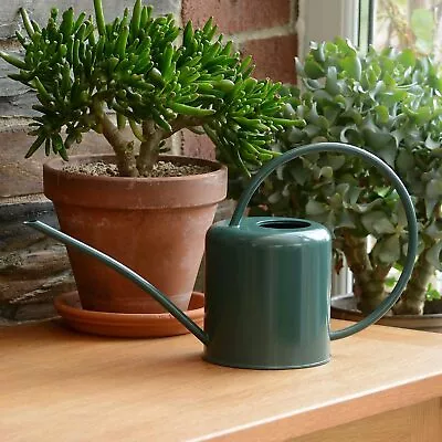 Indoor Small Green Watering Can Metal Galvanised Steel 1.4L Narrow Spout Plants • £17.99