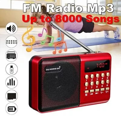 SD Card USB FM Sound Recorder Portable Mini Digital Radio Charging LED MP3 Music • $24.99