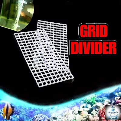 Grid Divider Tray 15CMx30CM Egg Crate Holder Aquarium Fish Tank Filter Bottom • $14.99