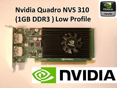 Nvidia Quadro NVS310 1GB DDR3 Low Profile PCI-Express Graphics Card Dual Display • £15.47
