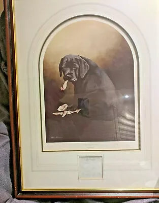 £175 • Buy  Black Labrador Puppy Of A L-E Print “ It Could Have Been You” Nigel Hemming 