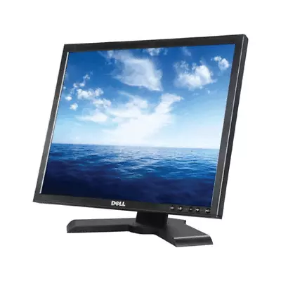 Dell P190Sb 19  1280x1024 5ms 5:4 VGA DVI LCD Monitor | B-Grade 3mth Wty • $19