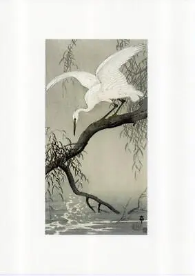 Ohara Koson Japanese Reproduction Woodblock Egret In A Tree • £3.85