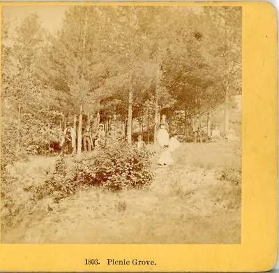 NEW HAMPSHIRE Picnic Grove Mt Washington--Kilburn Stereoview L78 • $5.95