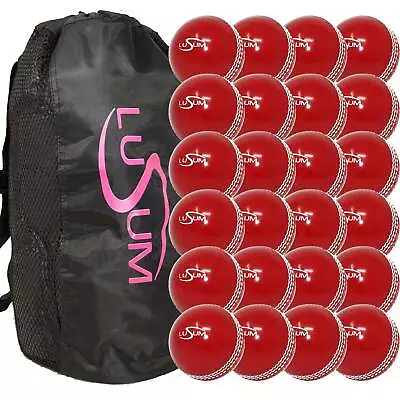£89.99 • Buy Lusum Incrediball Cricket Training Balls 24 Pack Available In Senior And Youth