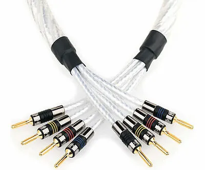 QED GENESIS Silver Spiral Bi-Wire 2x 2.5m (Pair) Speaker Cable Terminated • $685.84
