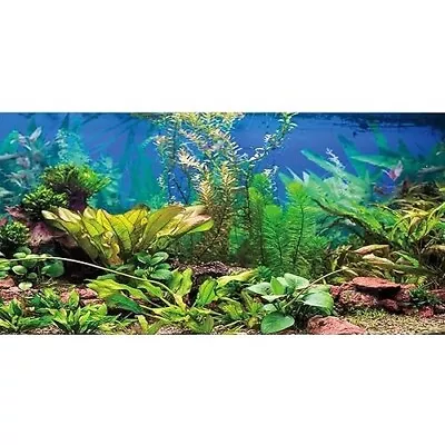 48X24 Inches Aquarium Background Aquatic Plant River Bed & Lake Fish Tank Back.. • $15.28