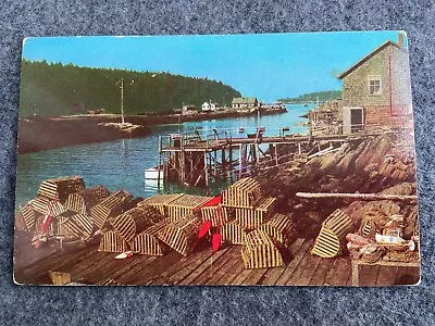 Lobster Traps And Buoys In Maine Vintage Postcard • $3.74