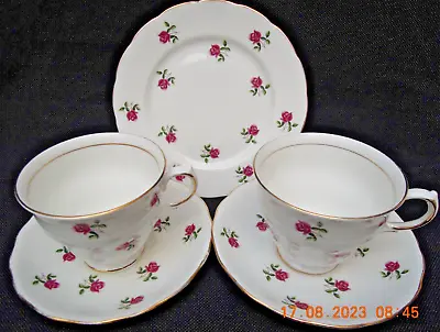 Colclough Bone China. Two Cups Two  Saucers & One Plate. Pattern As Showing • £10