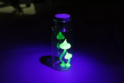 Uranium Glass Magic Mushroom Glow In The Dark Mushroom In A Bottle  Uranium • $48.75