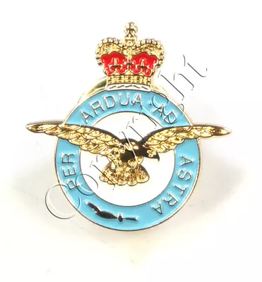 Raf Royal Air Force Deluxe Gold Plated Veterans Lapel Pin Badge • £3.49