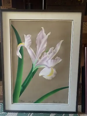 Brian Davis  Iris IV” Limited Edition Print Signed & Numbered Framed 1980 #249 • $100