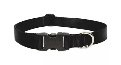 LupinePet Basics 1  Black 12-20  Adjustable Collar For Medium And Larger Dogs • $12.99