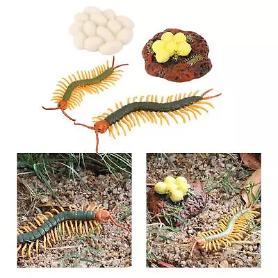 4 Pieces  Millipede Toy Animal Growth Life Teaching • £7.18