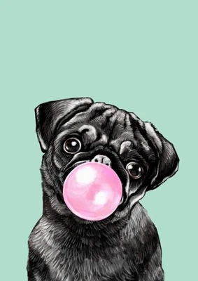 £5.77 • Buy Pug Dog Cute Animal Pet Art A4 Poster