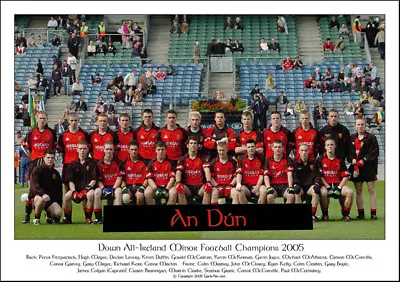 £34.50 • Buy Down All-Ireland Minor Football Champions 2005: GAA Print