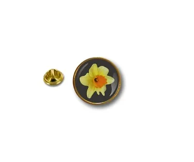 Pins Pin's Flag National Badge Metal Lapel Button Vest Yellow Daffodil St David • £4.19