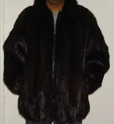 Men's DAMSELLE Beaver Fur Jacket Size 38-40  FREE SHIPPING Excellent Condition • $399.99