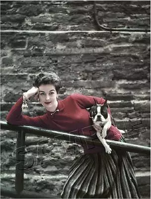 Boston Terrier Woman Fashion Model 1952 Dog Vintage Era Photo *canvas* Art Print • $29.60