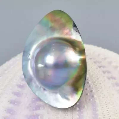 Mabe Blister Pearl In Shell Extreme Colorful Rainbow Iridescent 4.99 G Cabochon • $29