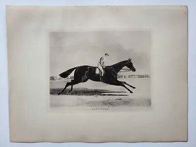 Vintage Antique Print 1888 Portraits Famous Racehorses Bee's Wing Foaled 1833 • £16