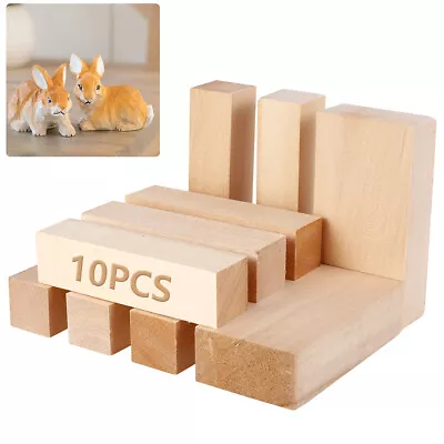 Lime Wood Hand Carving Blanks Blocks 10 Piece Basswood Linden Two Sizes ↬ • £12.23