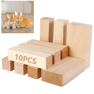 Lime Wood Hand Carving Blanks Blocks 10 Piece Basswood Linden Two Sizes DG • £12.23