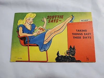Vtg. Comic Linen Postcard Scottie Says Sexy Lady Dog Unused Color Litho D-045 • $5