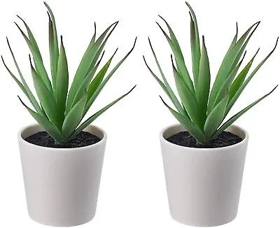 Ikea FEJKA Mini Artificial Succulent Desk Plants In Pots 6 Cm - Set Of 2 CP • £4.09