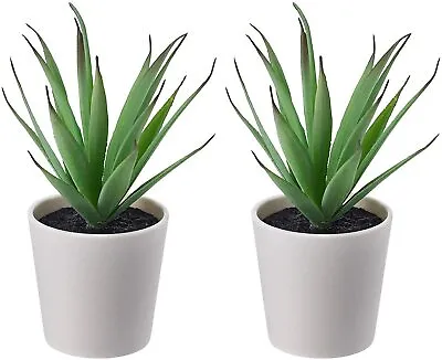 £7.38 • Buy Ikea FEJKA Mini Artificial Succulent Desk Plants In Pots 6 Cm - Set Of 2