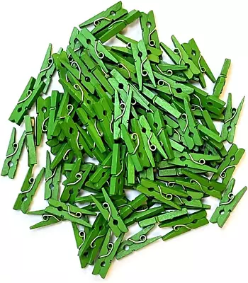 100 Mini Wooden Pegs Green • £4.32