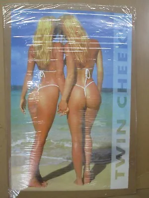 Twin Cheeks Sam Maxwell 1997 Girls Original Hot Girl Poster 19106 • $39.97