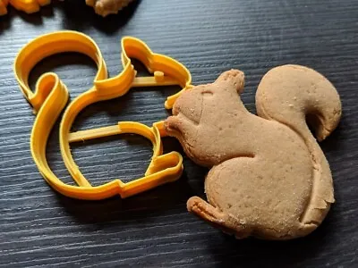 Squirrel Cookie Pastry Biscuit Cutter Icing Fondant Baking Clay Cute Animal Nuts • £4.99