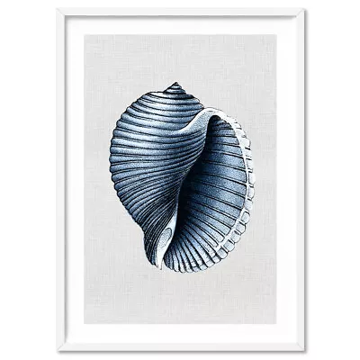 Scotch Bonnet Shell Poster Print. Navy Hamptons Coastal Wall Art Print | CSH-48 • $22.95