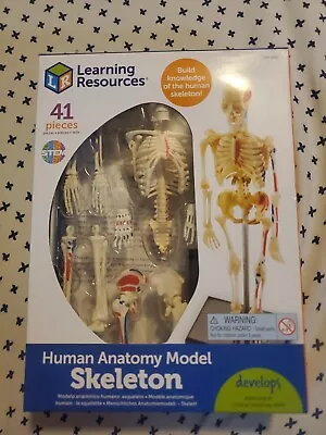 Learning Resources Skeleton Model Miniature Model Easy To Manipulate 41-Piece • $11.99