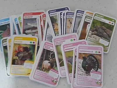 Woolworths Super Animals  Wildlife Animals Targona Cards • $15