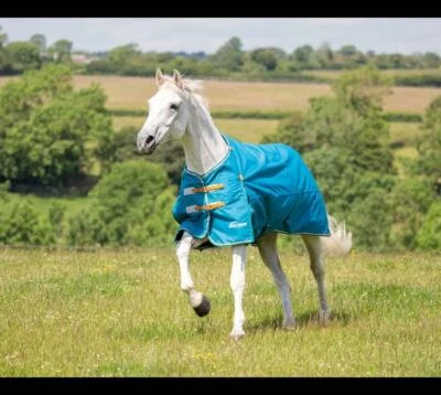 £71.99 • Buy Turnout Rug, Shires Highlander Original Lite 0G Lightweight Turnout Rug In Teal