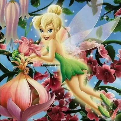 $12.55 • Buy Aus Seller..DIY 5D DIAMOND PAINTING..TINKERBELL...30x30cm  Full Drill