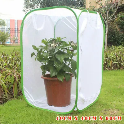 $15.15 • Buy Foldable Insect Butterfly Habitat Mesh Cage Housing Enclosure Terrarium Cage