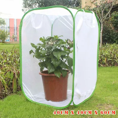 Foldable Insect Butterfly Habitat Mesh Cage Housing Enclosure Terrarium Cage • $36.95