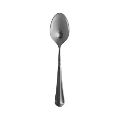 Mikasa French Countryside 18/10 Stainless 6-1/8  Teaspoon (Older Original Size) • $12.99