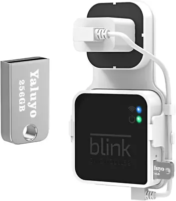 256GB USB Flash Drive And Blink Sync Module 2 Mount Save Space And Easy Mount B • $26.24