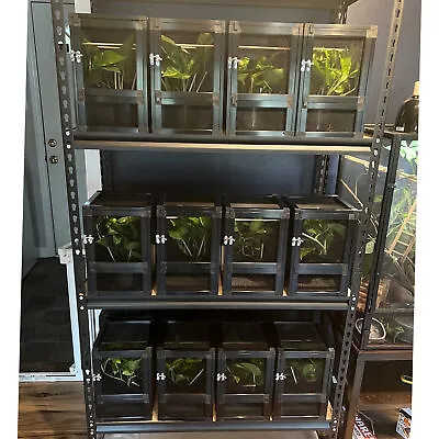 $259.99 • Buy Air Cage Small Habitat Mini Reptile Cage Perfect For Gecko Chameleons-10pcs